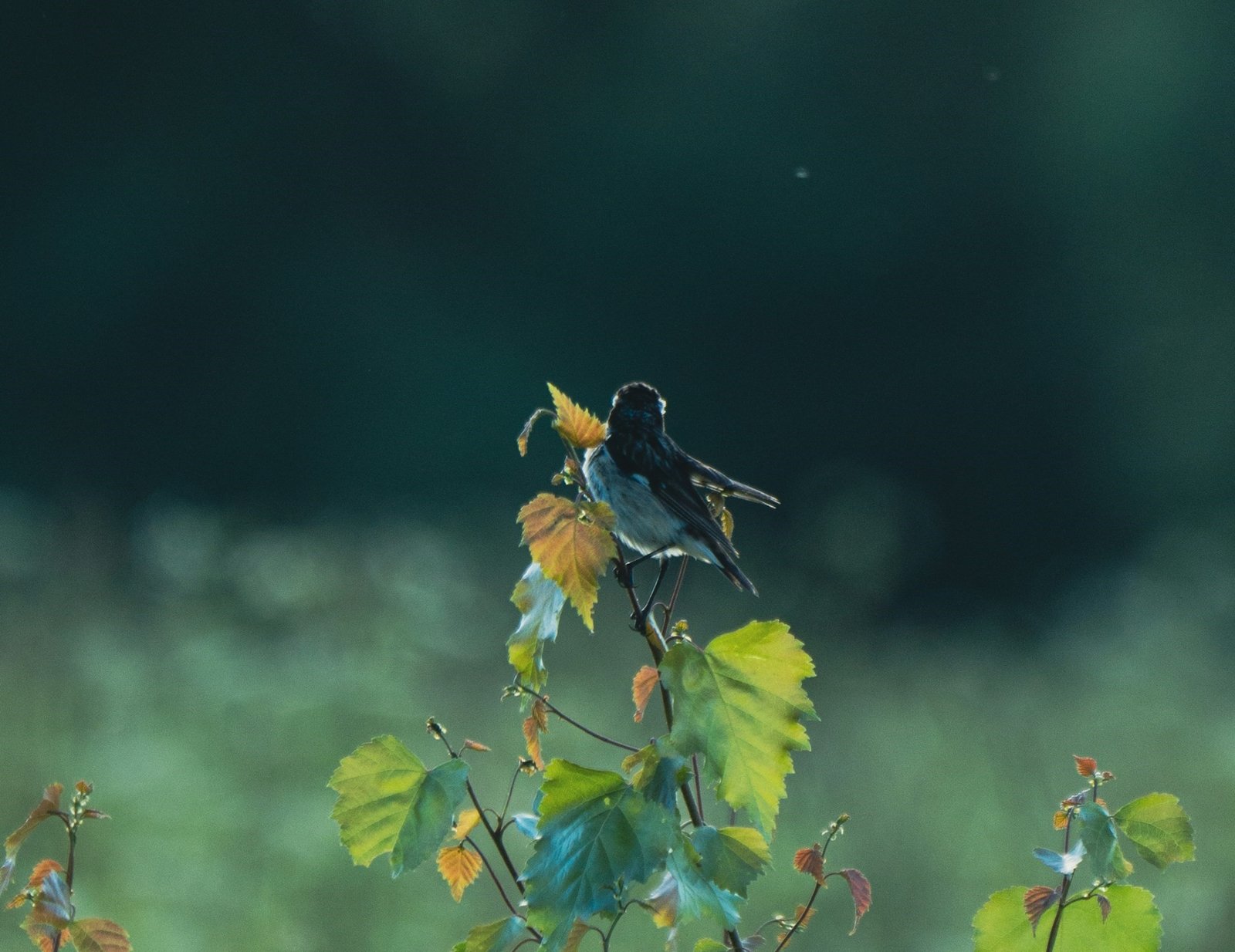 Những Sự Thật Lớn Của Kiếp Người